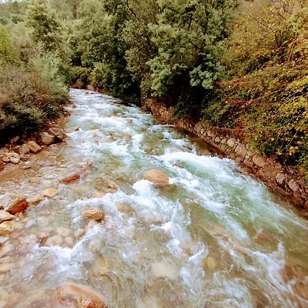 Quinta Dos Picarotos Feriehus Vila Nova do Ceira