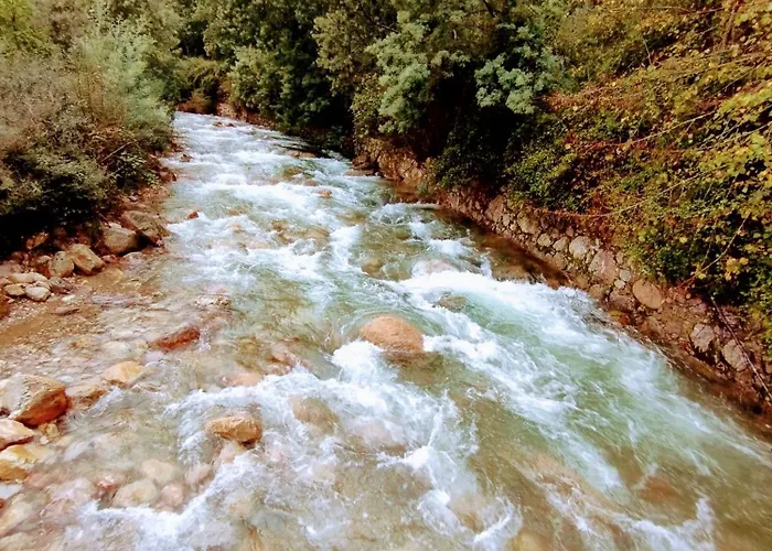 Quinta Dos Picarotos Nyaraló Vila Nova do Ceira